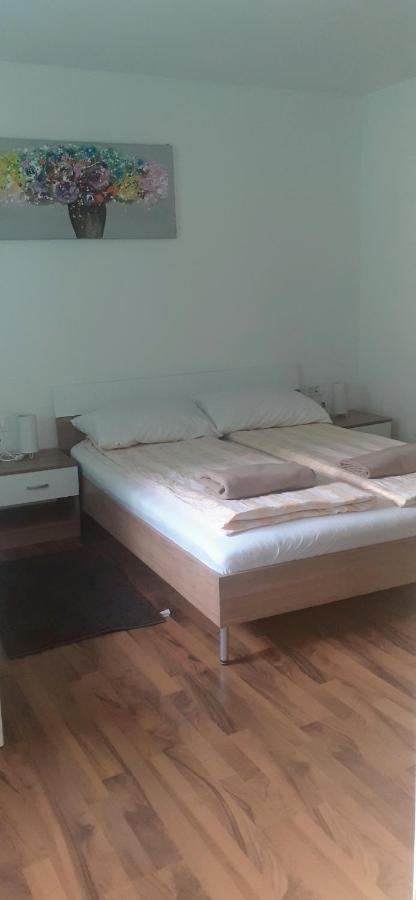 Apartman Sara Vl. Franjo Klasic Крапина Экстерьер фото
